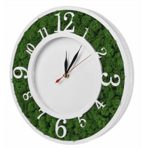 Բնական մամուռով փայտե ժամացույց