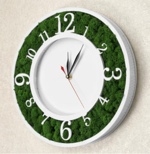 Բնական մամուռով փայտե ժամացույց