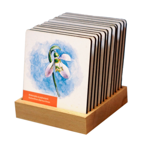 Փայտե օրացույց-բաժակի տակդիրներ